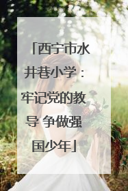 西宁市水井巷小学：牢记党的教导 争做强国少年