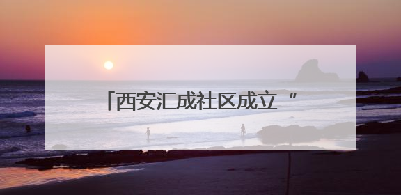 西安汇成社区成立“小太阳”志愿服务队