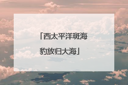 西太平洋斑海豹放归大海