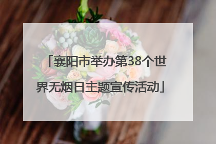 襄阳市举办第38个世界无烟日主题宣传活动