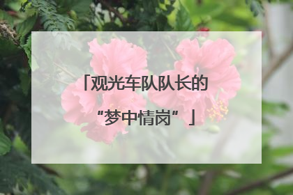 观光车队队长的“梦中情岗”