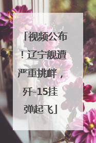 视频公布！辽宁舰遭严重挑衅，歼-15挂弹起飞