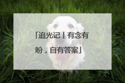 追光记丨有念有盼，自有答案