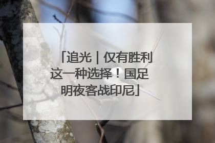 追光｜仅有胜利这一种选择！国足明夜客战印尼