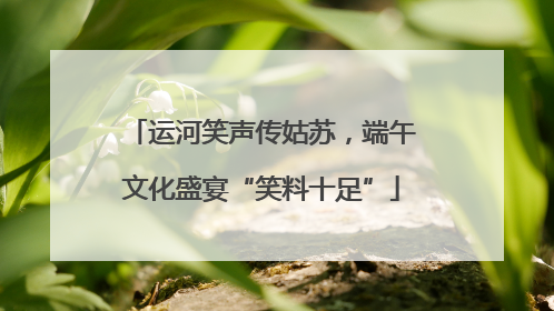运河笑声传姑苏，端午文化盛宴“笑料十足”