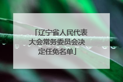 辽宁省人民代表大会常务委员会决定任免名单