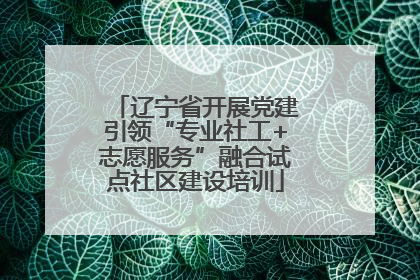 辽宁省开展党建引领“专业社工+志愿服务”融合试点社区建设培训