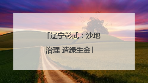 辽宁彰武：沙地治理 造绿生金