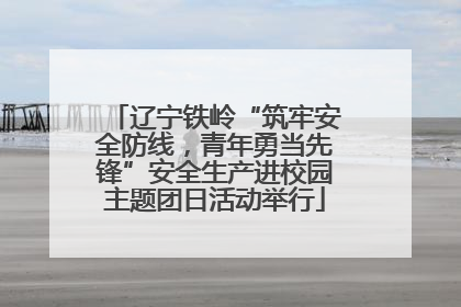 辽宁铁岭“筑牢安全防线，青年勇当先锋”安全生产进校园主题团日活动举行