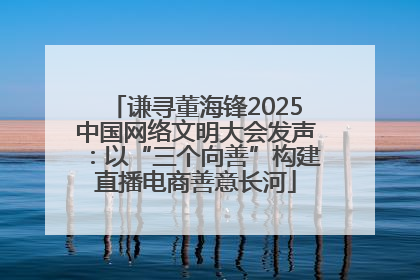 谦寻董海锋2025中国网络文明大会发声：以“三个向善”构建直播电商善意长河