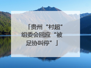 贵州“村超”组委会回应“被足协叫停”
