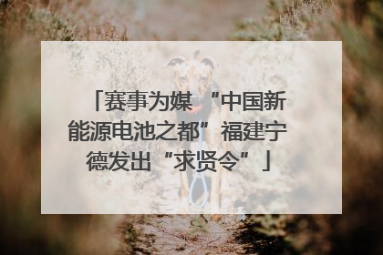 赛事为媒 “中国新能源电池之都”福建宁德发出“求贤令”