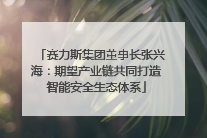 赛力斯集团董事长张兴海：期望产业链共同打造智能安全生态体系