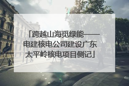 跨越山海觅绿能——电建核电公司建设广东太平岭核电项目侧记