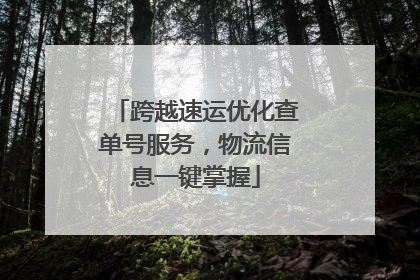 跨越速运优化查单号服务，物流信息一键掌握