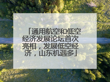 通用航空和低空经济发展论坛首次亮相，发展低空经济，山东机遇多