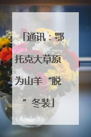 通讯：鄂托克大草原为山羊“脱”冬装