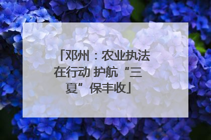 邓州：农业执法在行动 护航“三夏”保丰收