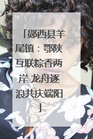 郧西县羊尾镇：鄂陕互联粽香两岸 龙舟逐浪共庆端阳