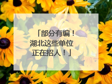 部分有编！湖北这些单位正在招人！