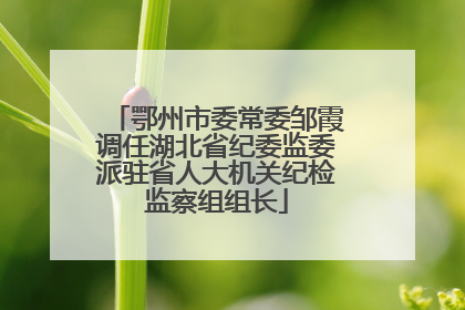 鄂州市委常委邹霞调任湖北省纪委监委派驻省人大机关纪检监察组组长