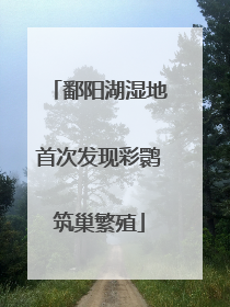 鄱阳湖湿地首次发现彩鹮筑巢繁殖