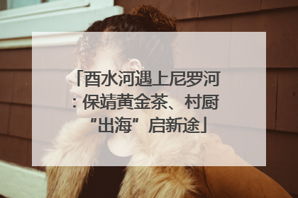 酉水河遇上尼罗河：保靖黄金茶、村厨“出海”启新途
