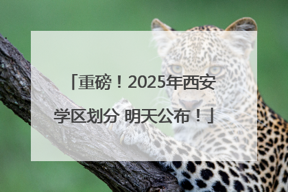 重磅！2025年西安学区划分 明天公布！