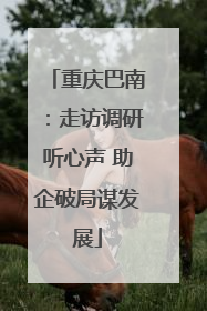 重庆巴南：走访调研听心声 助企破局谋发展