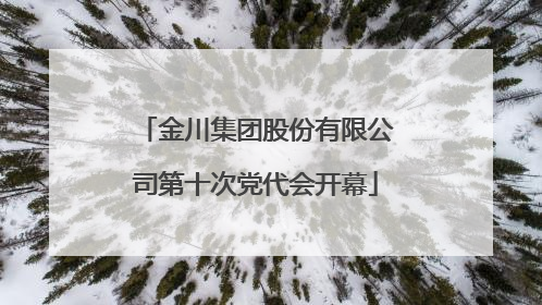 金川集团股份有限公司第十次党代会开幕