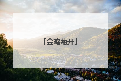 金鸡菊开