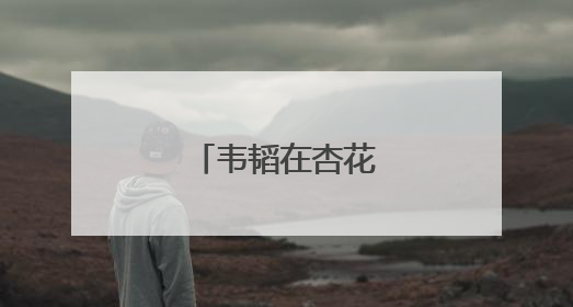 韦韬在杏花岭区调研