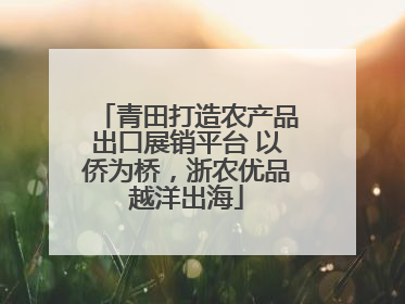 青田打造农产品出口展销平台 以侨为桥，浙农优品越洋出海