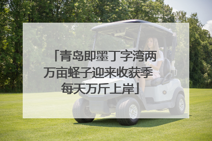 青岛即墨丁字湾两万亩蛏子迎来收获季 每天万斤上岸