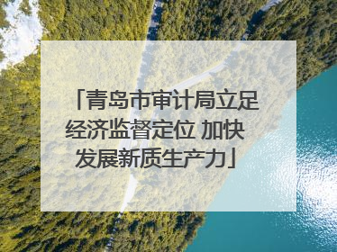 青岛市审计局立足经济监督定位 加快发展新质生产力