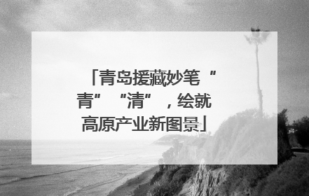 青岛援藏妙笔“青”“清”，绘就高原产业新图景