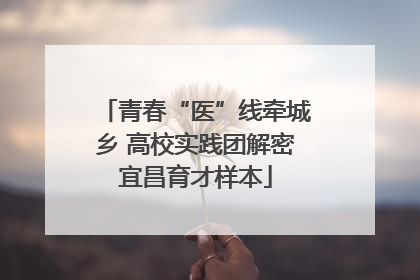 青春“医”线牵城乡 高校实践团解密宜昌育才样本