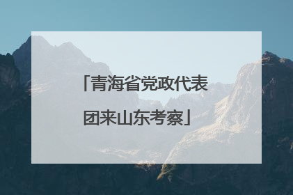 青海省党政代表团来山东考察