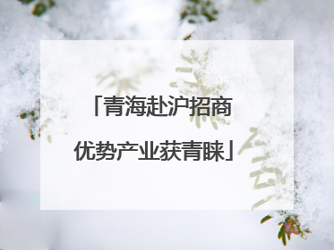 青海赴沪招商 优势产业获青睐