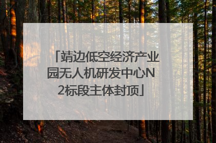 靖边低空经济产业园无人机研发中心N2标段主体封顶