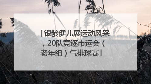 银龄健儿展运动风采，20队竞逐市运会（老年组）气排球赛