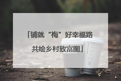铺就“梅”好幸福路 共绘乡村致富图