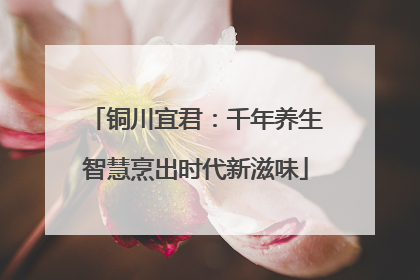 铜川宜君：千年养生智慧烹出时代新滋味