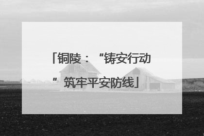 铜陵：“铸安行动”筑牢平安防线