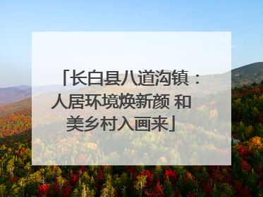 长白县八道沟镇：人居环境焕新颜 和美乡村入画来