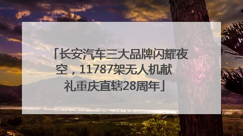 长安汽车三大品牌闪耀夜空，11787架无人机献礼重庆直辖28周年