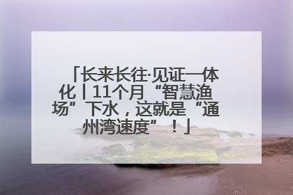长来长往·见证一体化丨11个月“智慧渔场”下水，这就是“通州湾速度”！