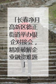 长春净月高新区德正街道举办银企对接会，精准破解企业融资难题