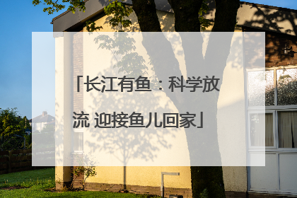 长江有鱼：科学放流 迎接鱼儿回家