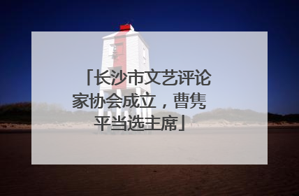 长沙市文艺评论家协会成立，曹隽平当选主席